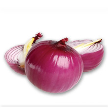 2017 new crop fresh big yellow red white round onion wholesale price